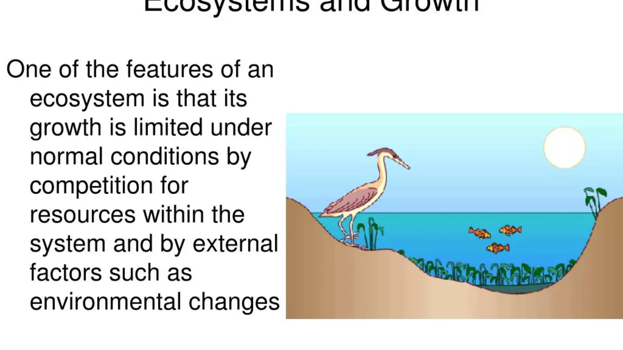 What is an abiotic environment?
